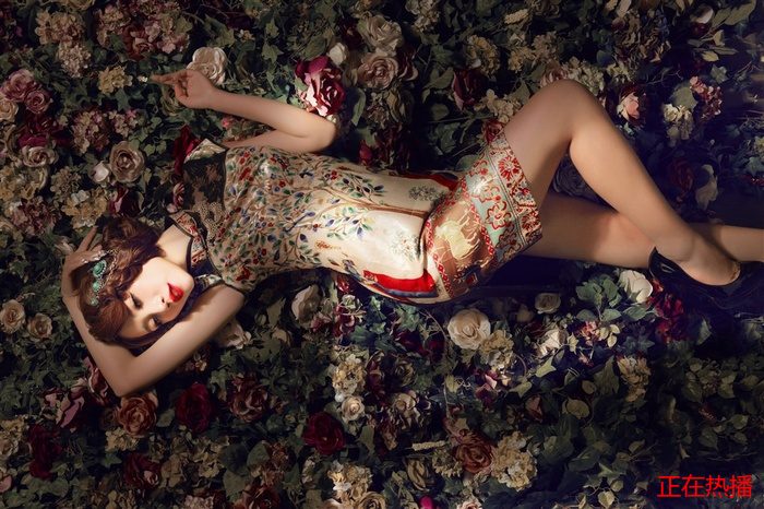 【白夜追凶最终boss是谁 · 金瓶海之婬乱天在线观看 · 超过10季的美剧都有哪些 · 中国轰炸机】高清完整版